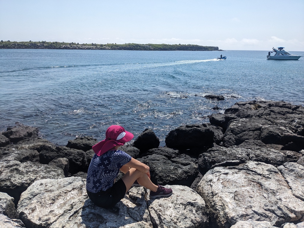 Jodie watching sea lions